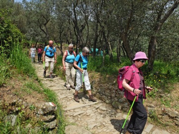 31.Treppen nach Manarola